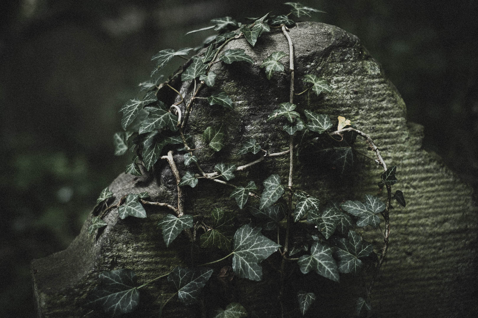 Obernkirchen, Jüdischer Friedhof